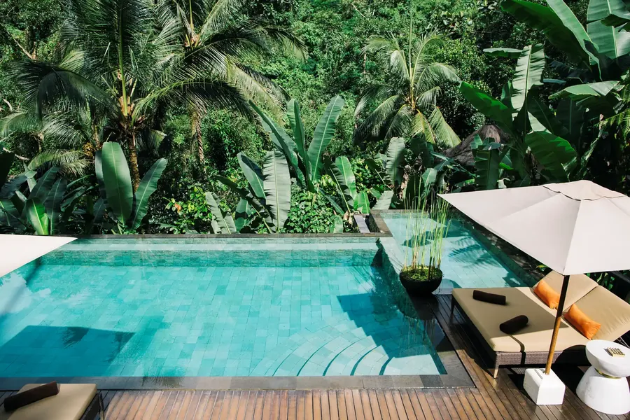 A tropical pool surrounded by jungle plants and palms in Bali