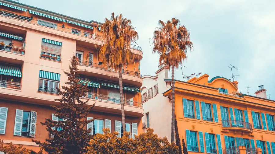 Colourful colonial buildings with wooden shutters and a tall palm