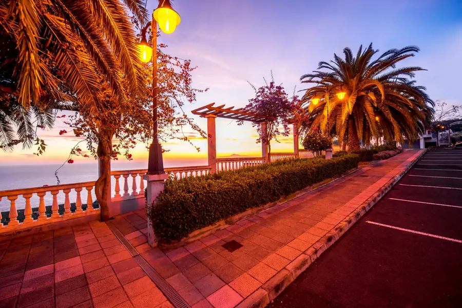 A subtropical garden with palms and flowers above the Atlantic coast