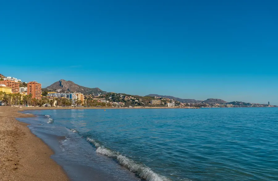 Malagueta beach in Málaga with a row of tall palms and the city behind