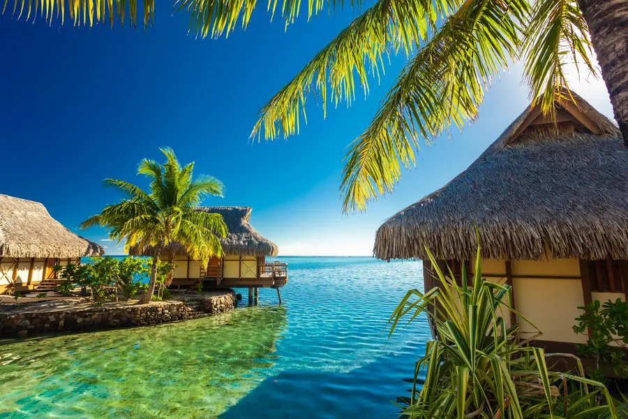 Overwater bungalows on a green lagoon in Moorea with a palm frond in the foreground