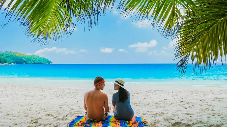 A couple relaxing under a leaning coconut palm on a white beach