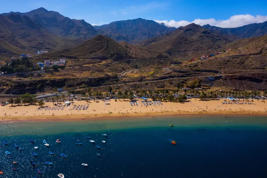 An aerial view of a golden beach lined with palms