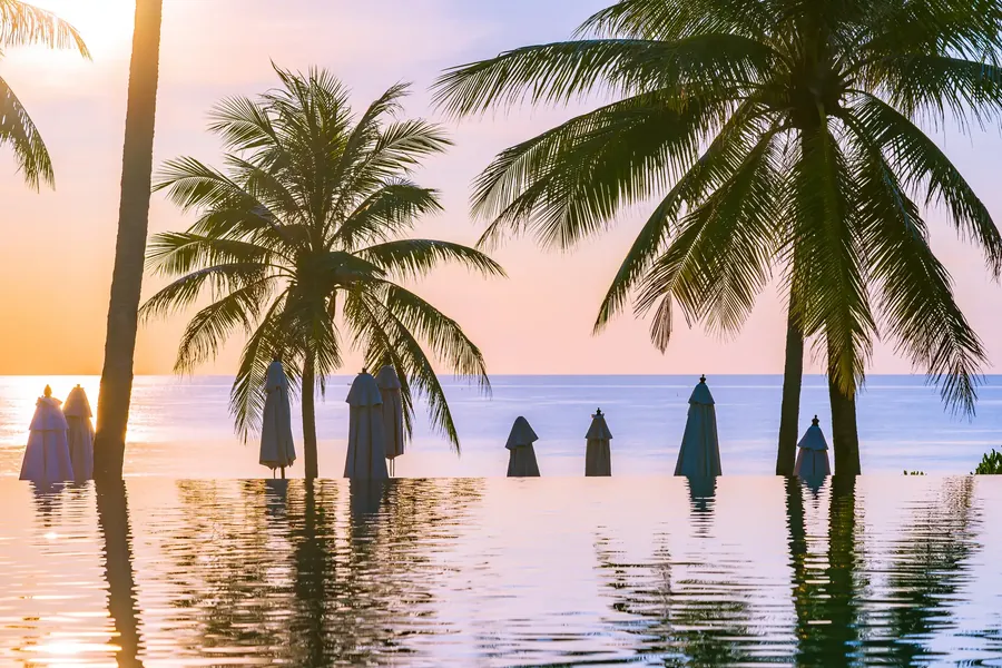 Silhouettes of palms at sunset over calm water