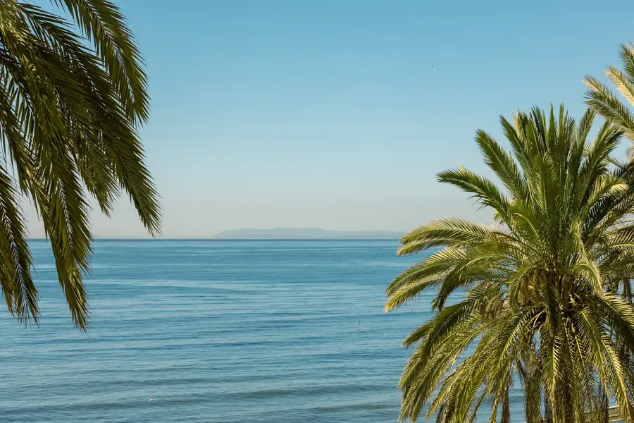 Palm trees against a deep blue sea